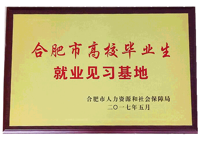 喜訊：公司“合肥市高校畢業(yè)生就業(yè) 見習基地”申報成功