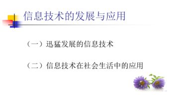 信息技術的發展與應用 聚焦信息技術開發